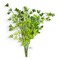 Artificial Mini Cup Leaf Bush Faux Greenery for Wreaths and Arrangements-FL4303-G
